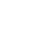 anastoy_logo_3